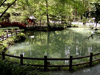 マウスクリックで拡大/縮小します