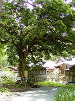 マウスクリックで拡大/縮小します