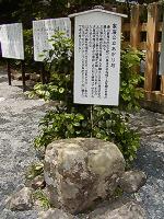 マウスクリックで拡大/縮小します