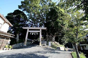 マウスクリックで拡大/縮小します