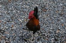 マウスクリックで拡大/縮小します