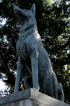 マウスクリックで拡大/縮小します