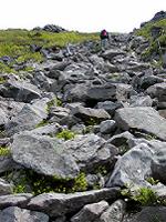 マウスクリックで拡大/縮小します