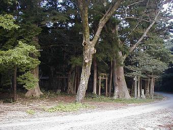 マウスクリックで拡大/縮小します