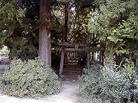 マウスクリックで拡大/縮小します