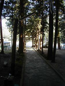 マウスクリックで拡大/縮小します