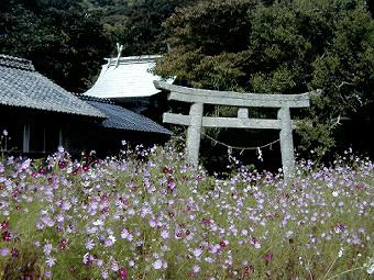マウスクリックで拡大/縮小します