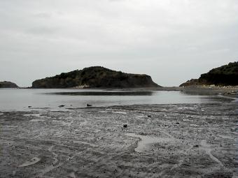 マウスクリックで拡大/縮小します