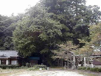 マウスクリックで拡大/縮小します