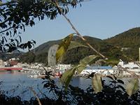 マウスクリックで拡大/縮小します