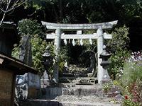 マウスクリックで拡大/縮小します