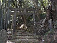 マウスクリックで拡大/縮小します