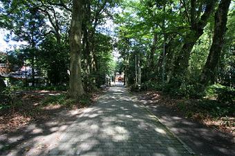 マウスクリックで拡大/縮小します