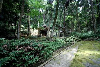 マウスクリックで拡大/縮小します