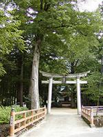 マウスクリックで拡大/縮小します