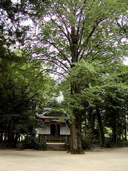 マウスクリックで拡大/縮小します