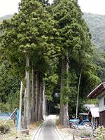 マウスクリックで拡大/縮小します