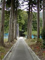 マウスクリックで拡大/縮小します