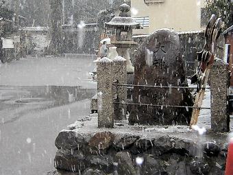 マウスクリックで拡大/縮小します