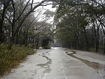 マウスクリックで拡大/縮小します