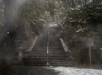 マウスクリックで拡大/縮小します