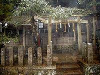 マウスクリックで拡大/縮小します