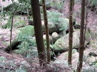 マウスクリックで拡大/縮小します