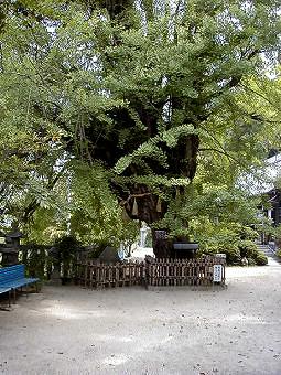 マウスクリックで拡大/縮小します