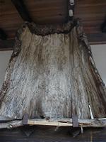 マウスクリックで拡大/縮小します