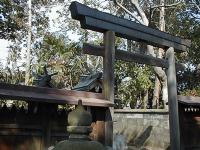 マウスクリックで拡大/縮小します