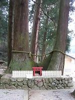 マウスクリックで拡大/縮小します