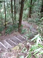 マウスクリックで拡大/縮小します