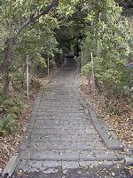 マウスクリックで拡大/縮小します