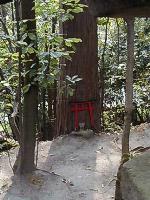 マウスクリックで拡大/縮小します