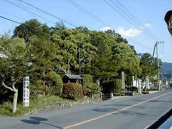 マウスクリックで拡大/縮小します