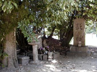 マウスクリックで拡大/縮小します