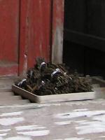 マウスクリックで拡大/縮小します