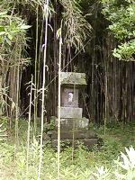 マウスクリックで拡大/縮小します