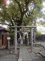 マウスクリックで拡大/縮小します