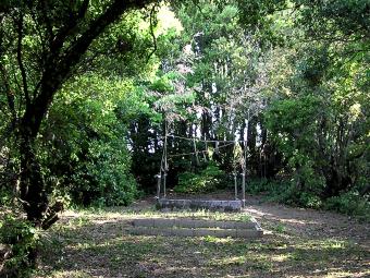 マウスクリックで拡大/縮小します