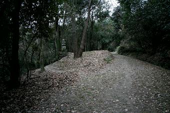 マウスクリックで拡大/縮小します