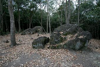 マウスクリックで拡大/縮小します