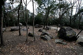 マウスクリックで拡大/縮小します