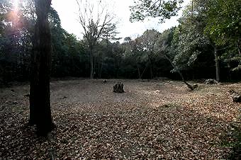 マウスクリックで拡大/縮小します