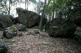 マウスクリックで拡大/縮小します