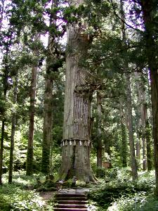 マウスクリックで拡大/縮小します