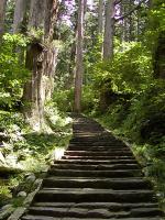 マウスクリックで拡大/縮小します