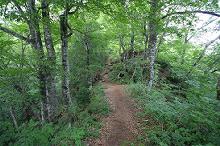 マウスクリックで拡大/縮小します