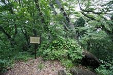 マウスクリックで拡大/縮小します