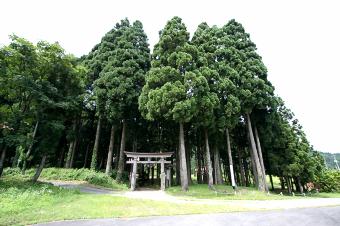 マウスクリックで拡大/縮小します